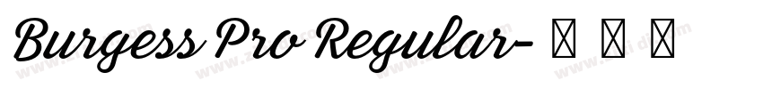 Burgess Pro Regular字体转换 Burgess Pro Regular字体转换